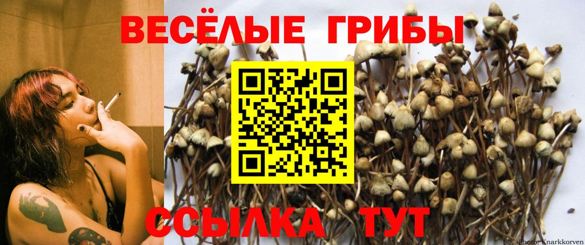 Батайск  COCAIN  Гашиш  МАРИХУАНА  Вход с VPN  Гашиш  Меф МЯУ МЯУ кристаллы 